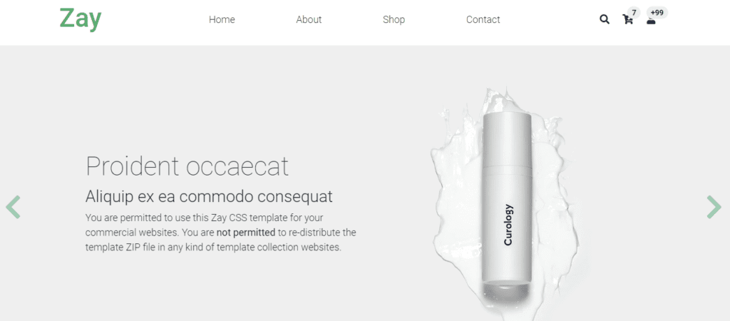 e-commerce website html template