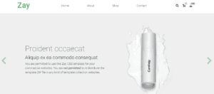e-commerce website html template